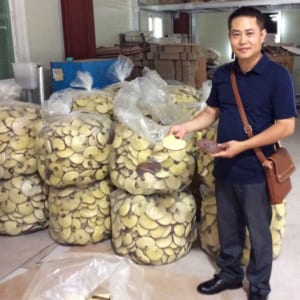 Giám đốc An Mạnh Tùng làm việc với nhà sản xuất nấm linh chi tại Hàn Quốc