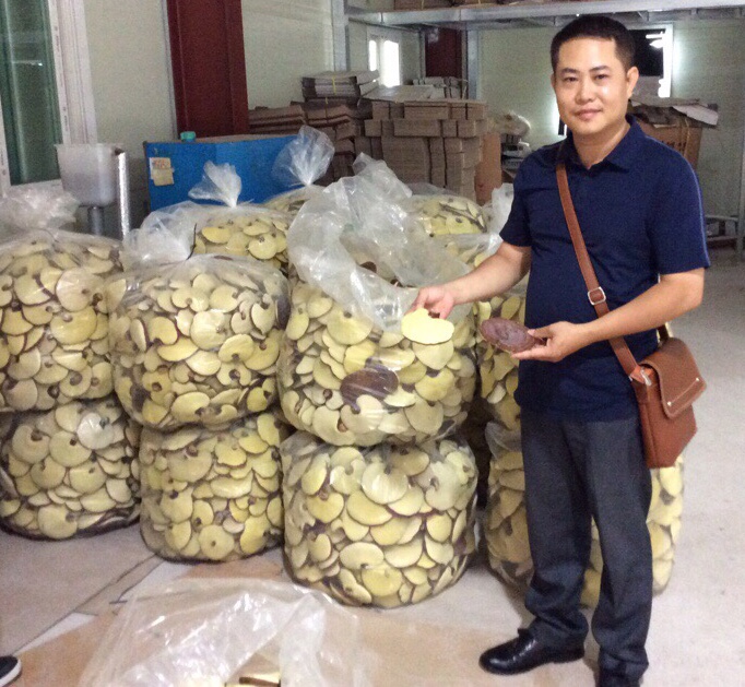 Giám đốc An Mạnh Tùng làm việc với nhà sản xuất nấm linh chi tại Hàn Quốc