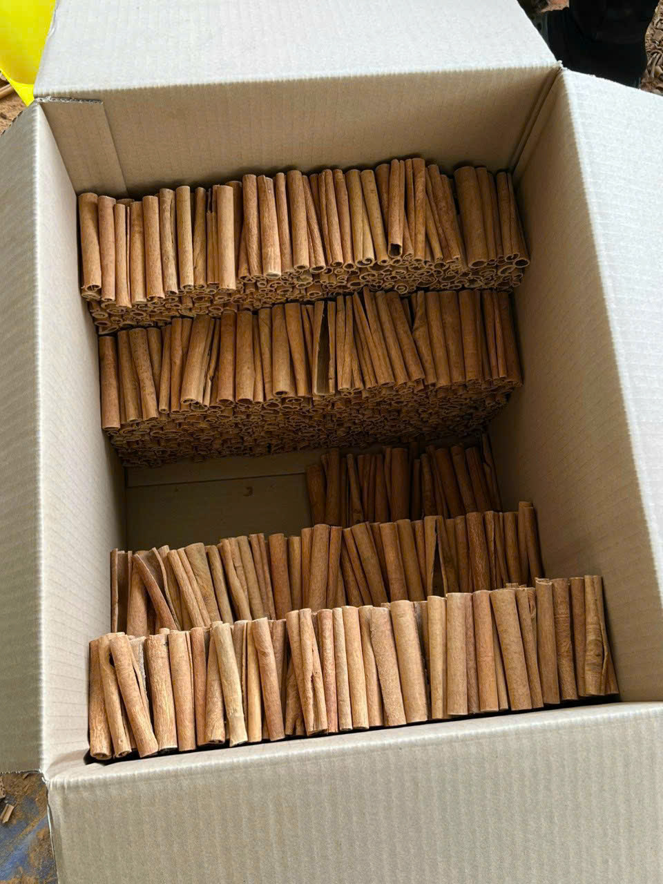 z7072964822381_3d976ca7f21bbb1f01cd13375eae2945